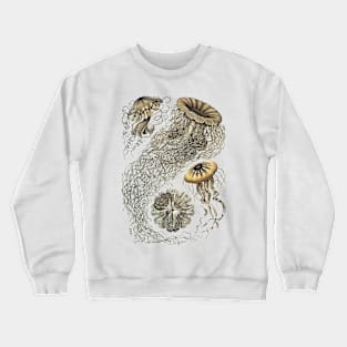 Ernst Haeckel  Jellyfish Sepia Crewneck Sweatshirt